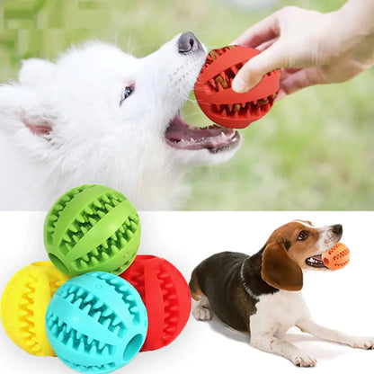 Ball Dog Chew Toy