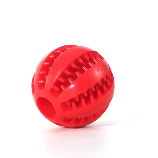 Ball Dog Chew Toy